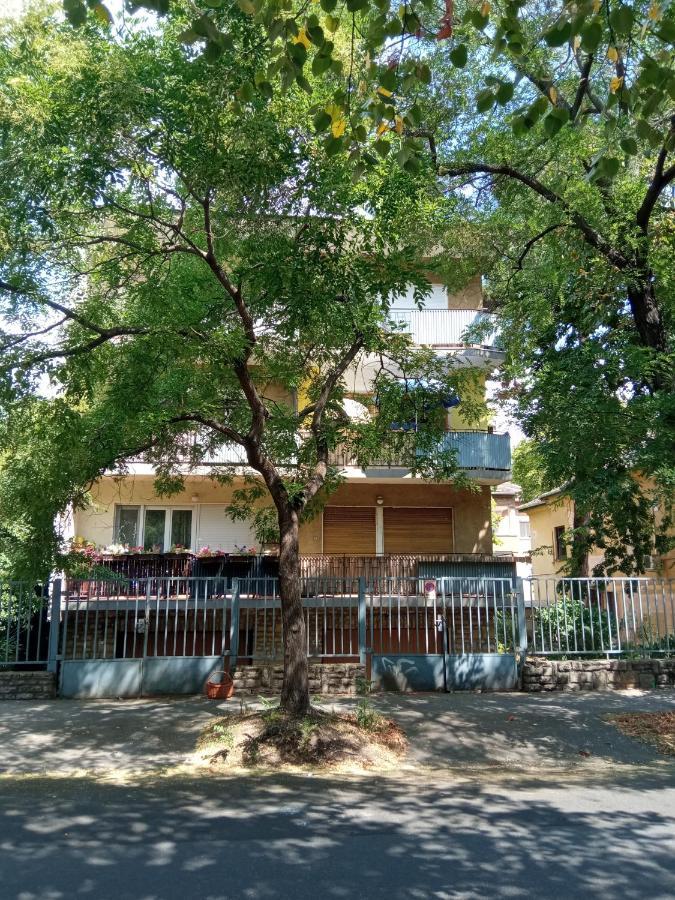 Free Parking, Balcony, Near To City Park Budapeşte Dış mekan fotoğraf